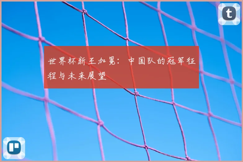 世界杯新王加冕:中国队的冠军征程与未来展望